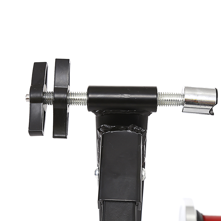 Cyclette Portatile Intelligent - Tech Bike Accessories recensione e prezzo